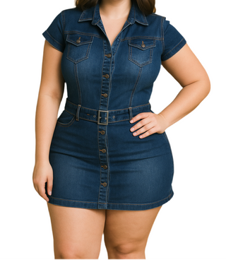 Delilah Denim Dress
